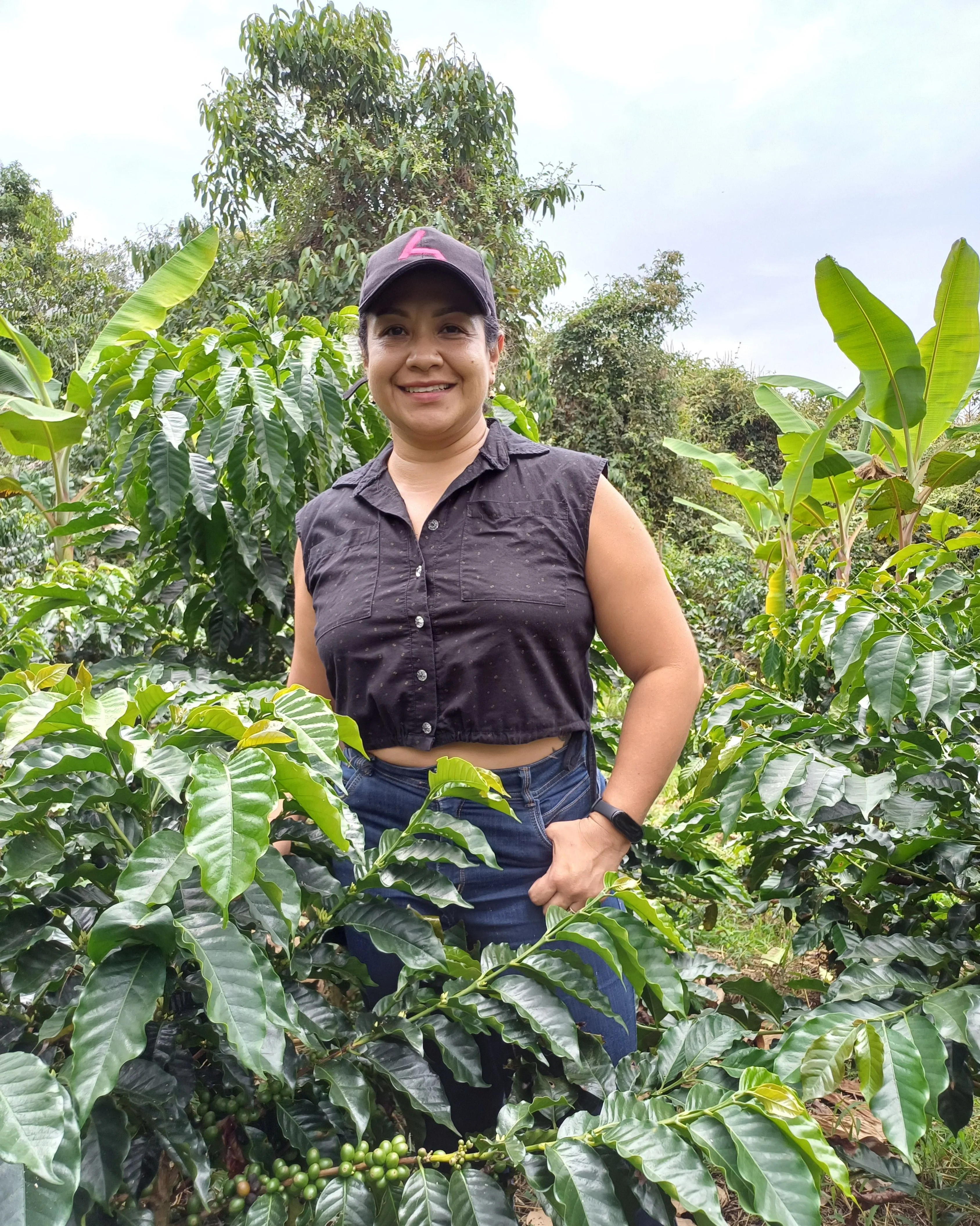 CosechaMás imagen 2