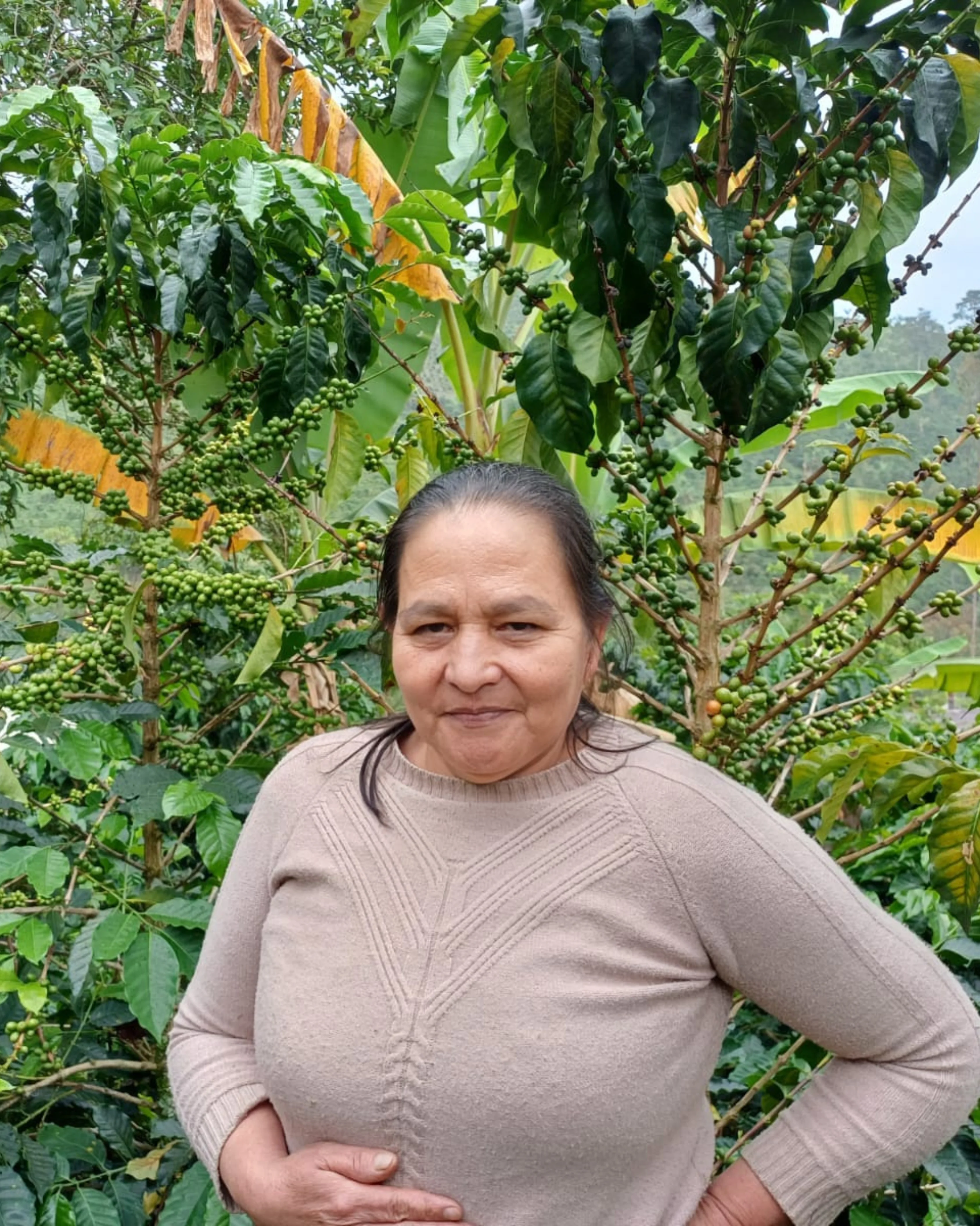 CosechaMás imagen 6