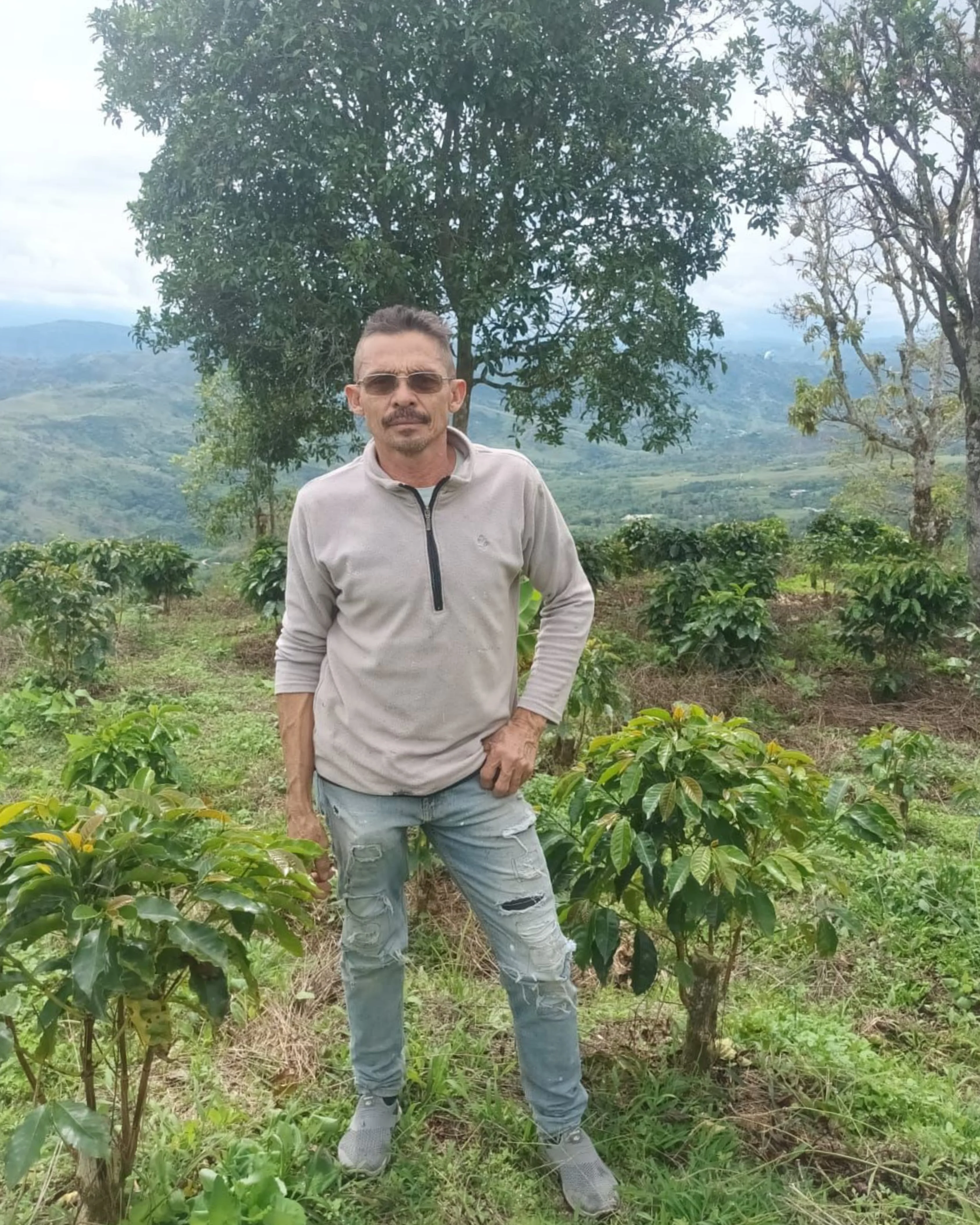 CosechaMás imagen 7